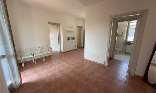 Trilocale in certe, no spese!!!